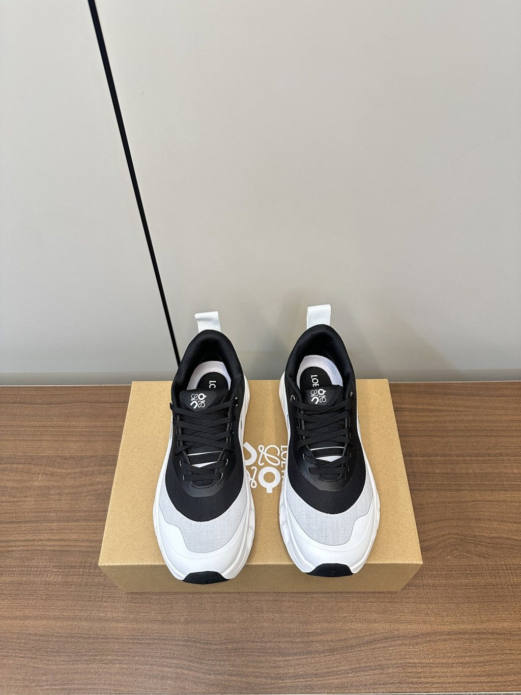 Loewe Mesh Panel Sneakers — front